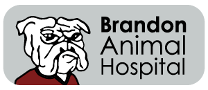 Brandon Animal Hospital