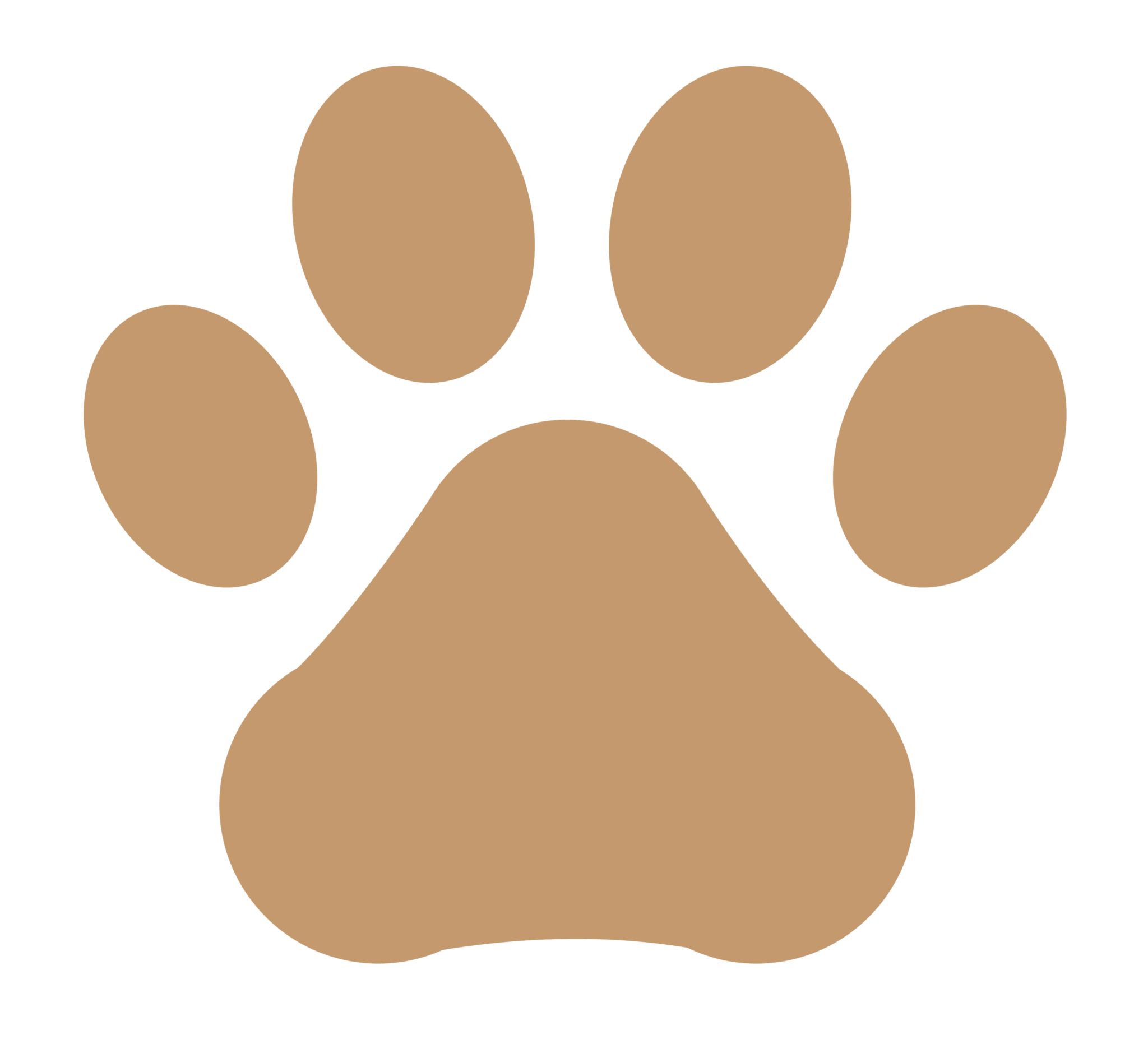 Veterinarian in Brandon, MS Brandon Animal Hospital