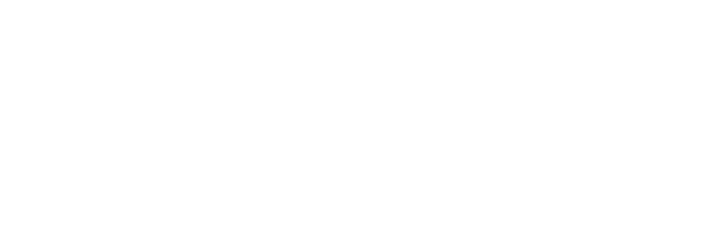 VIPetPlan_BySnout_website